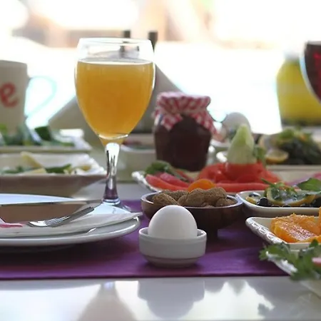 Ege Tulip Hotell 4*