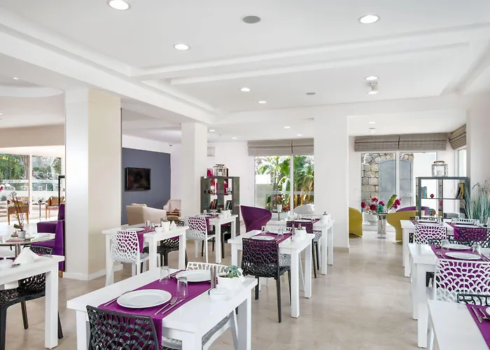 ホテル Ege Tulip 4*